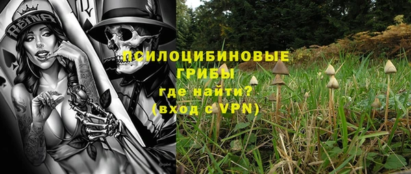 бошки Лагань