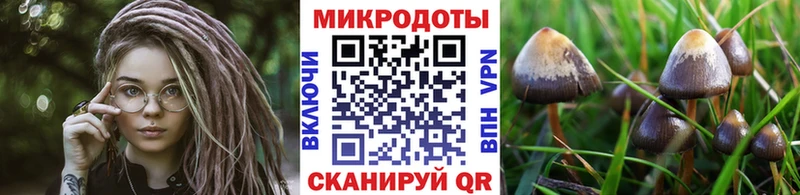 Псилоцибиновые грибы Psilocybine cubensis  MEGA вход  Дзержинск  магазин продажи наркотиков 