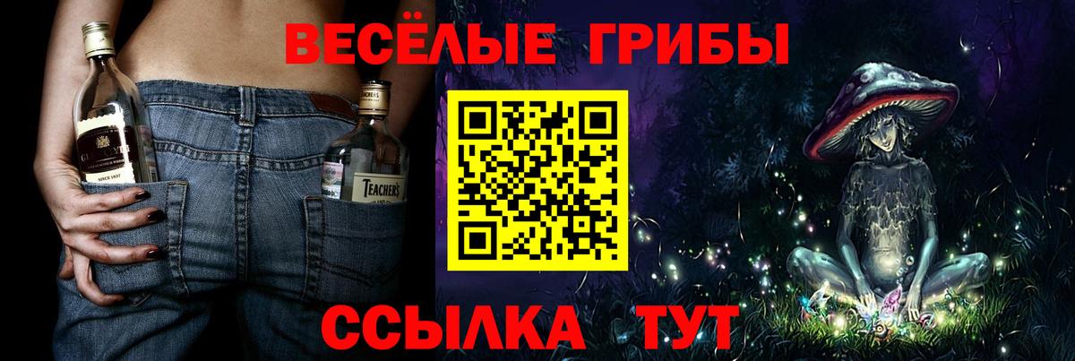 Галлюциногенные грибы Magic Shrooms  Дзержинск  Галлюциногенные грибы ЛСД 