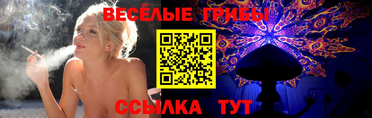 Псилоцибиновые грибы MAGIC MUSHROOMS  Вход с VPN  Дзержинск 